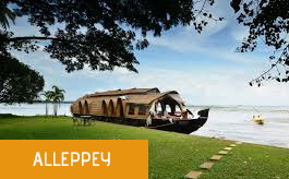 best tour travel agency in kerala