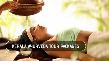 best tour travel agency in kerala