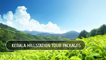 local tour operators in kerala