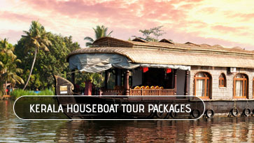 local tour operators in kerala