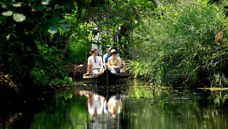 local tour operators in kerala