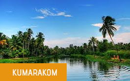 local tour operators in kerala