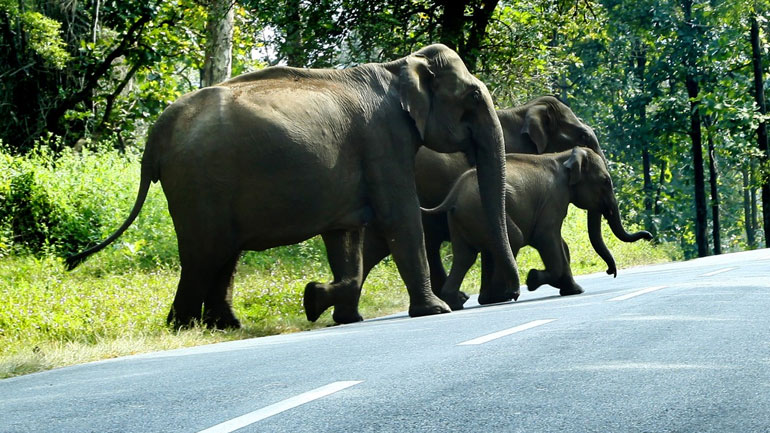 tourist map of wayanad district