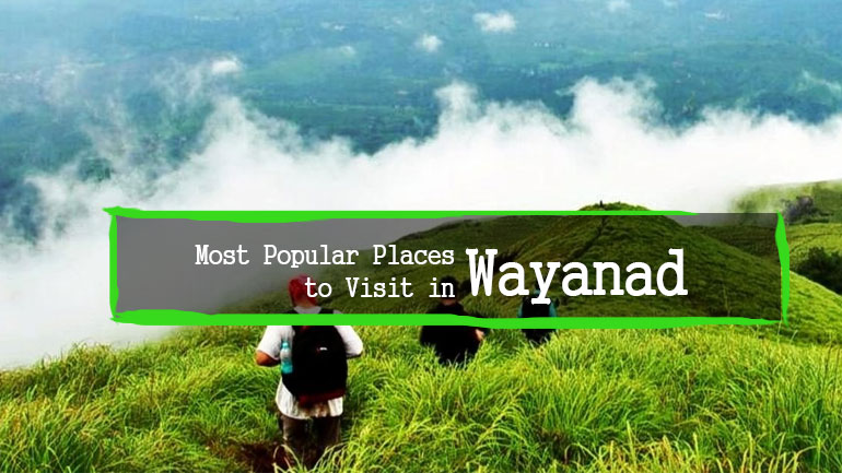 wayanad top 10 tourist spots