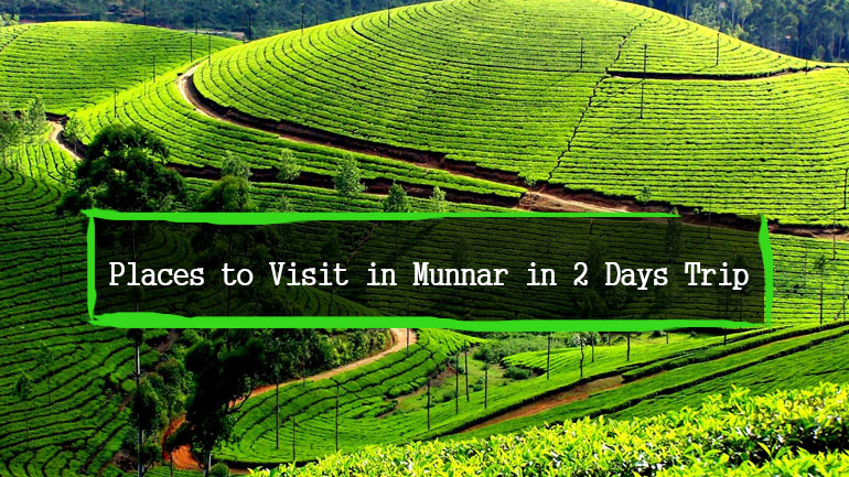 top 10 places to visit in munnar in 2 days