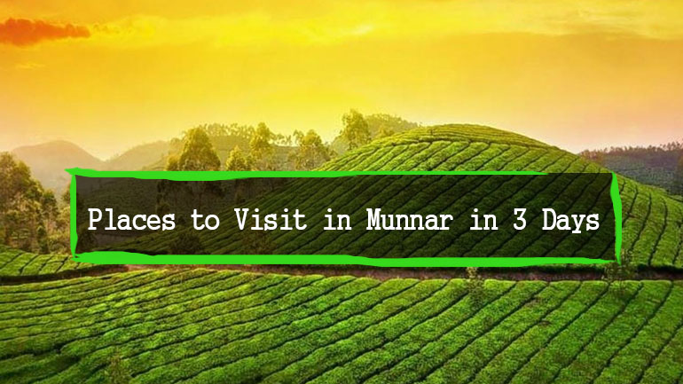 munnar tour packages for 3 days