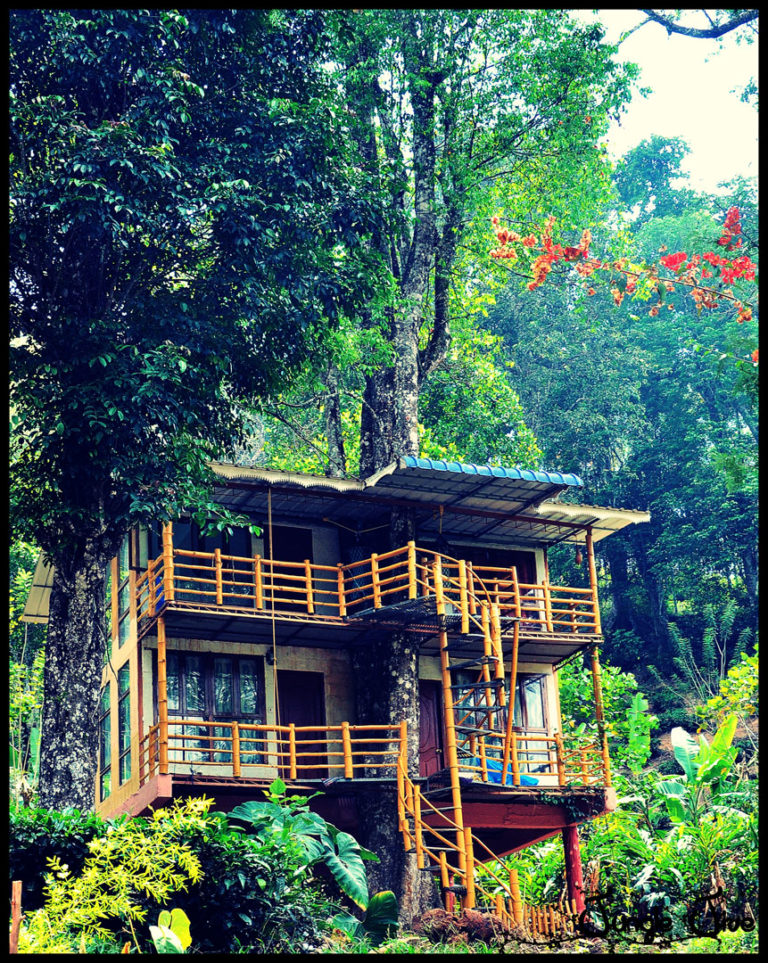 Munnar Treehouse Resorts Packages, Pricing Details [Book Treehouse]