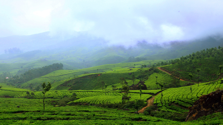 kerala tourism packages from hyderabad with price