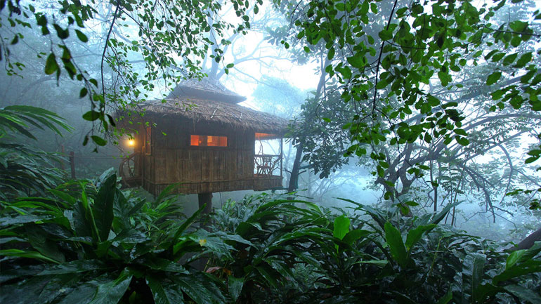 munnar tree house tour package